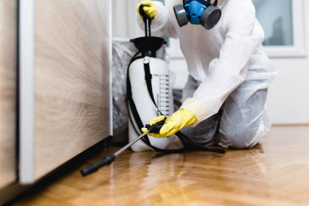 Professional Pest Control in University Park, IL
