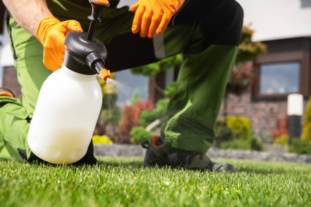 Best Emergency Pest Control  in University Park, IL