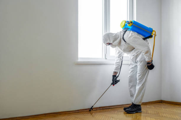 Best Wasp Removal Services  in University Park, IL