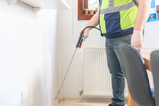 Best Ant Control Services  in University Park, IL