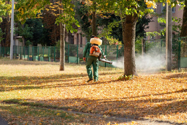 Best Mosquito Control Services  in University Park, IL