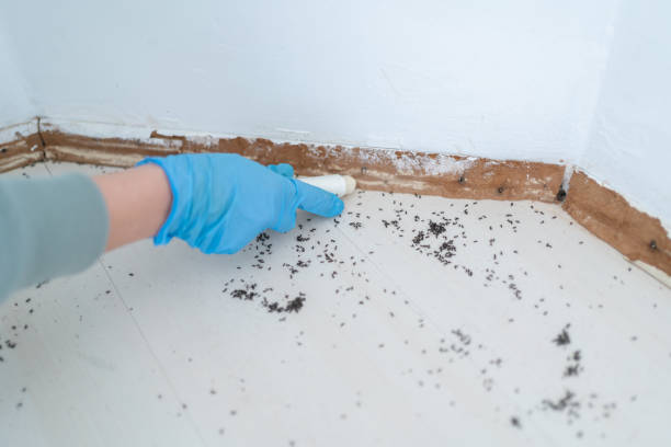 Pest Control Cost in University Park, IL